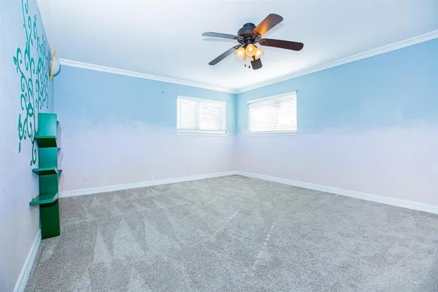 an empty room with potted plants