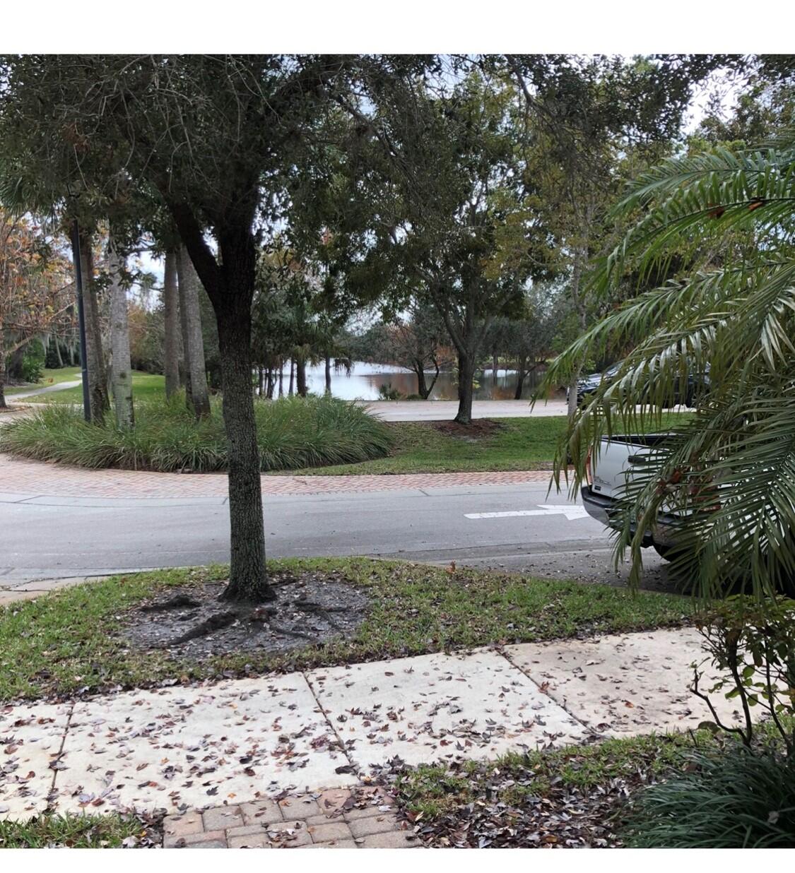 2031 Southeast Oldsmar Road Port St. Lucie, FL 34952 - Photo 14 of 14 a view of a park with tree s