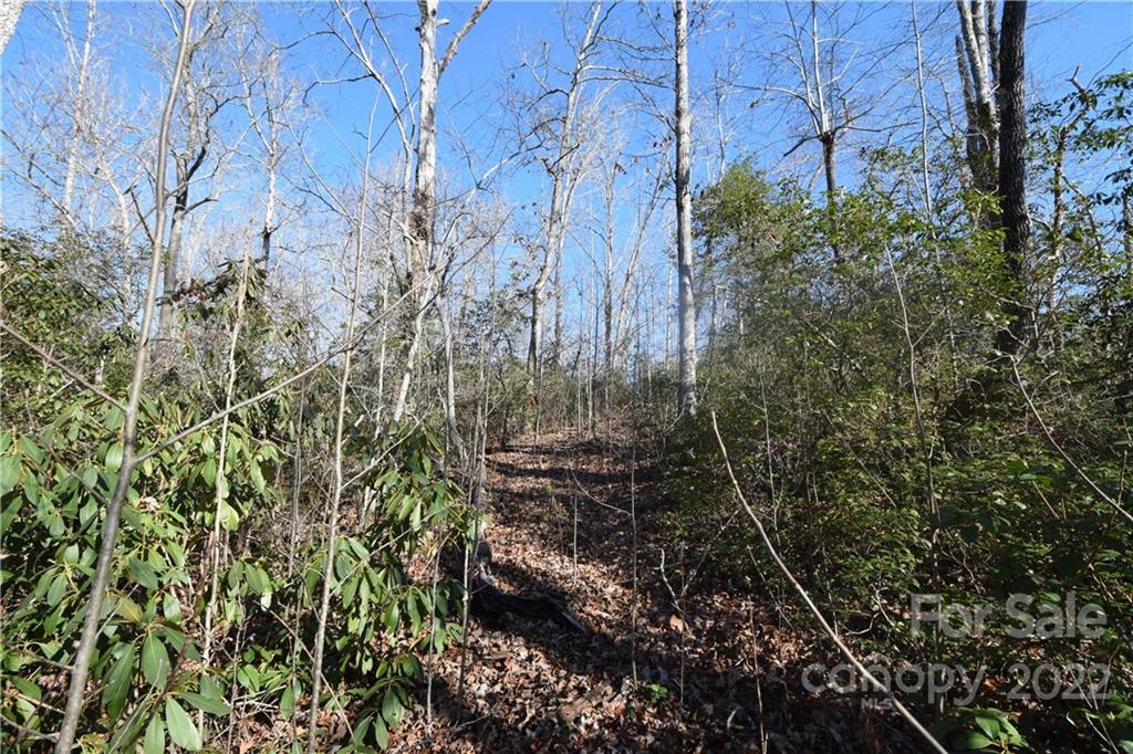 0 Cove Crest Rutherfordton, NC 28139 - Photo 11 of 35 Gallery Image 11