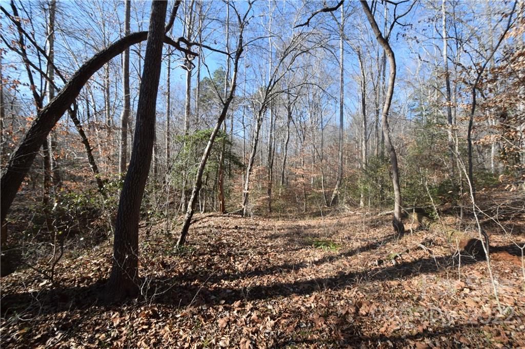 0 Cove Crest Rutherfordton, NC 28139 - Photo 12 of 35 Gallery Image 12
