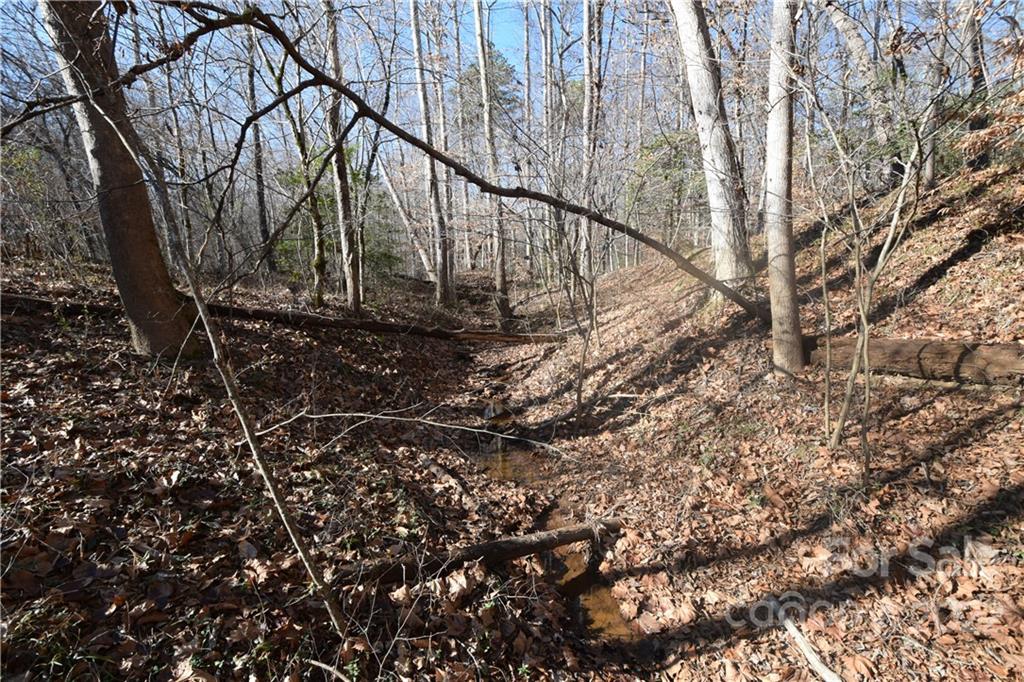 0 Cove Crest Rutherfordton, NC 28139 - Photo 13 of 35 Gallery Image 13