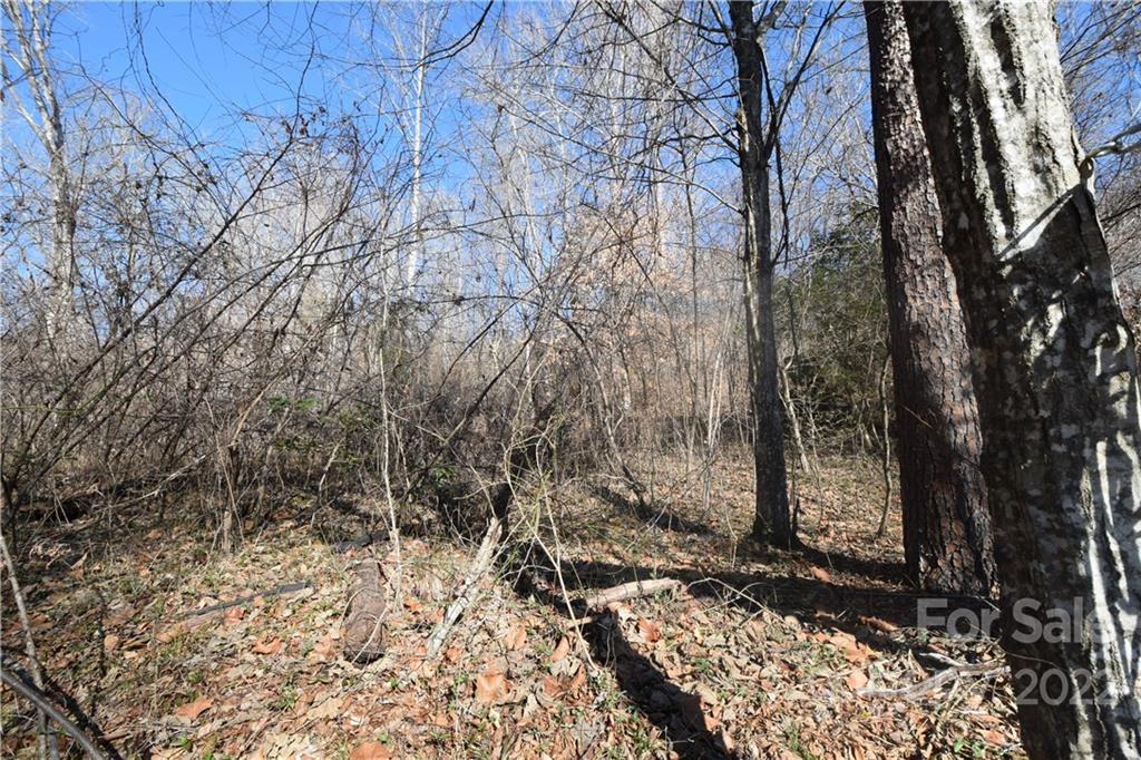 0 Cove Crest Rutherfordton, NC 28139 - Photo 17 of 35 Gallery Image 17