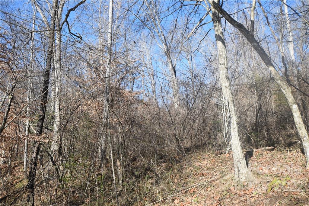 0 Cove Crest Rutherfordton, NC 28139 - Photo 18 of 35 Gallery Image 18