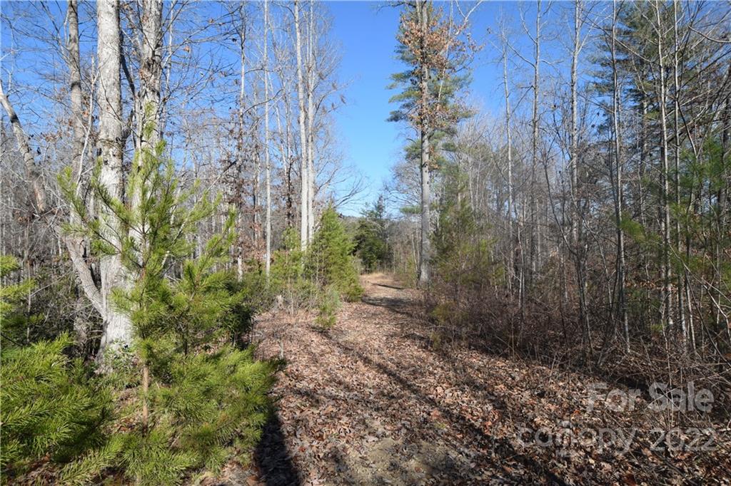 0 Cove Crest Rutherfordton, NC 28139 - Photo 3 of 35 Gallery Image 3
