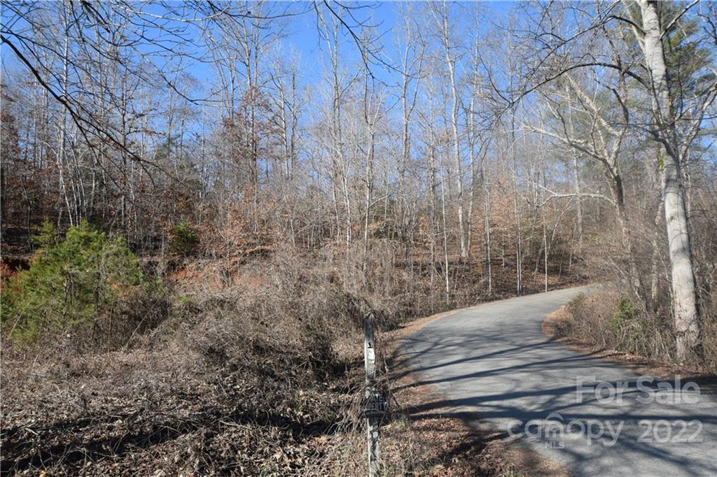 0 Cove Crest Rutherfordton, NC 28139 - Photo 31 of 35 Gallery Image 31
