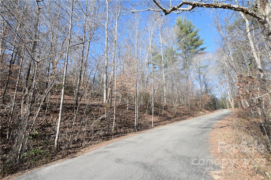 0 Cove Crest Rutherfordton, NC 28139 - Photo 32 of 35 Gallery Image 32