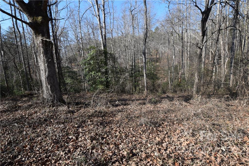 0 Cove Crest Rutherfordton, NC 28139 - Photo 34 of 35 Gallery Image 34