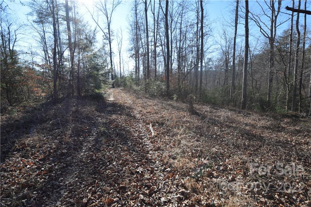 0 Cove Crest Rutherfordton, NC 28139 - Photo 35 of 35 Gallery Image 35