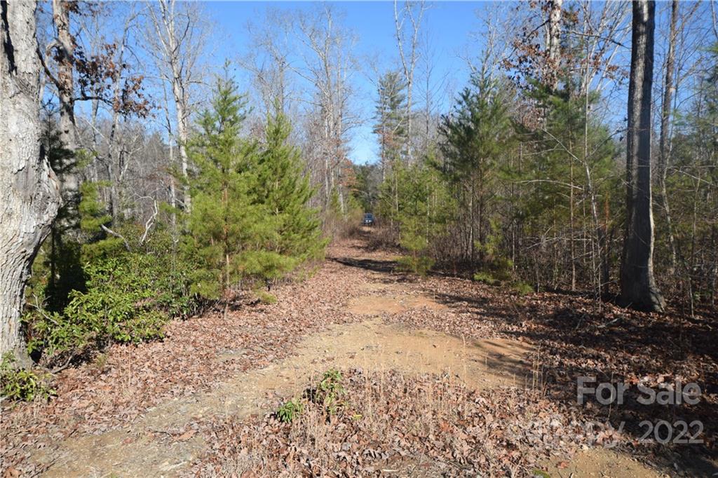 0 Cove Crest Rutherfordton, NC 28139 - Photo 5 of 35 Gallery Image 5