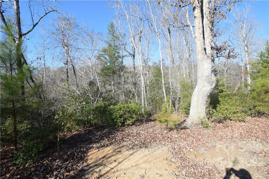 0 Cove Crest Rutherfordton, NC 28139 - Photo 6 of 35 Gallery Image 6