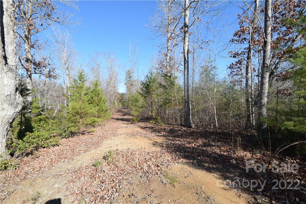 0 Cove Crest Rutherfordton, NC 28139 - Photo 7 of 35 Gallery Image 7