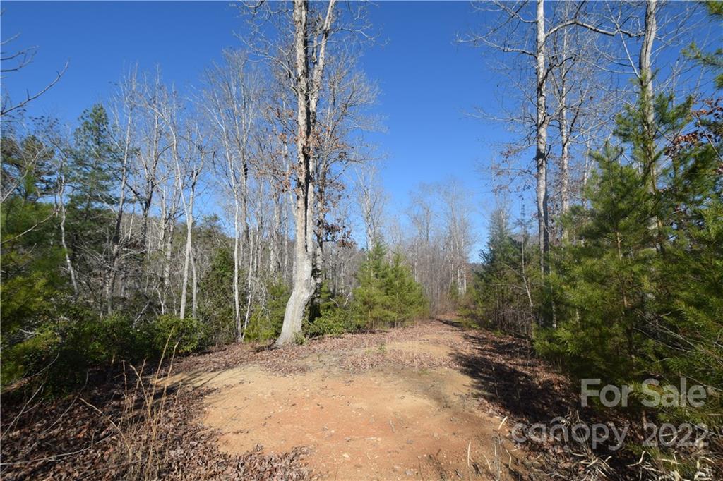 0 Cove Crest Rutherfordton, NC 28139 - Photo 8 of 35 Gallery Image 8