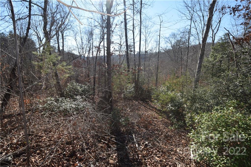 0 Cove Crest Rutherfordton, NC 28139 - Photo 9 of 35 Gallery Image 9