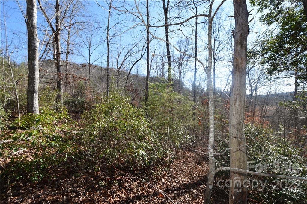 0 Cove Crest Rutherfordton, NC 28139 - Photo 10 of 35 Gallery Image 10