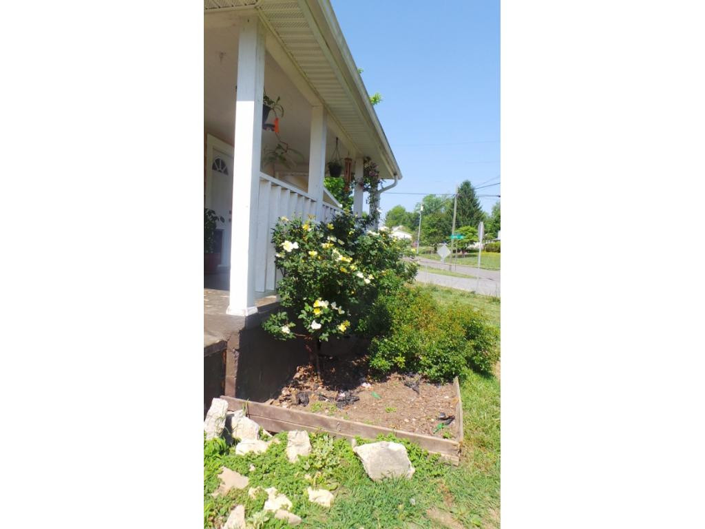 1505 Indian Ridge Road Johnson City, TN 37604 - Photo 6 of 34 Photo 6