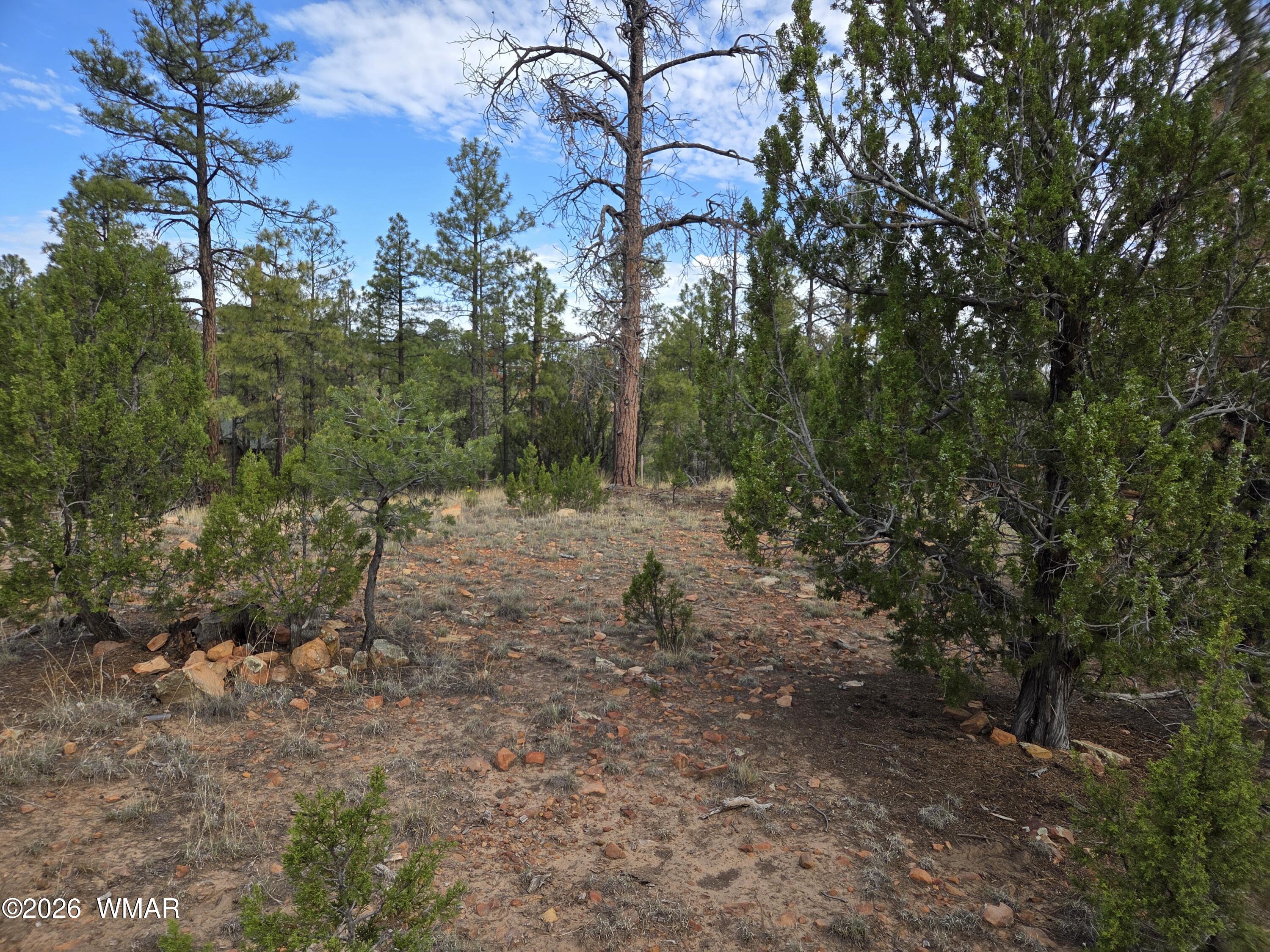 3332 Sawmill Ridge Loop Heber, AZ 85928 - Photo 4 of 12