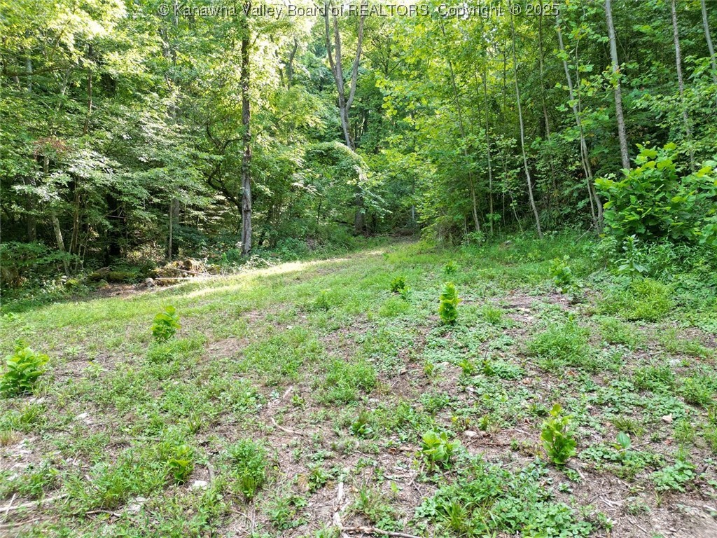 50 Island Branch Road Charleston, WV 25320 - Photo 1 of 14 Gallery Image 1