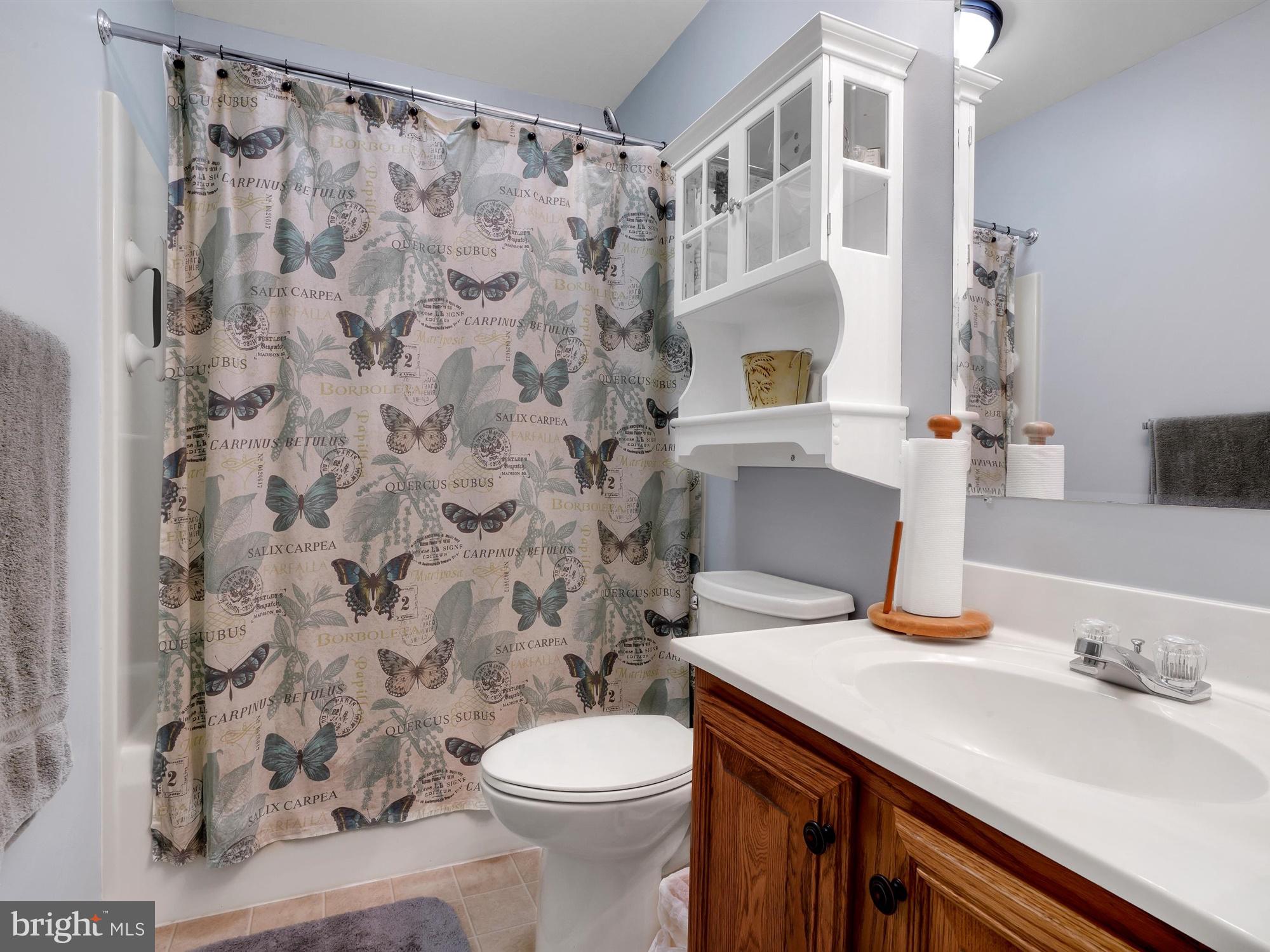 259 Lauschtown Road Denver, PA 17517 - Photo 18 of 28 Hall Bathroom