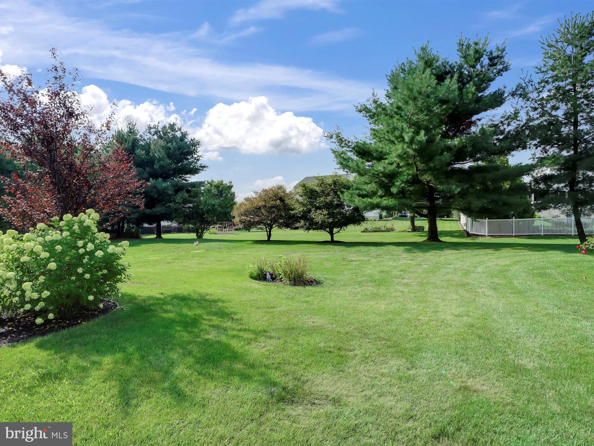 259 Lauschtown Road Denver, PA 17517 - Photo 22 of 28 Rear yard