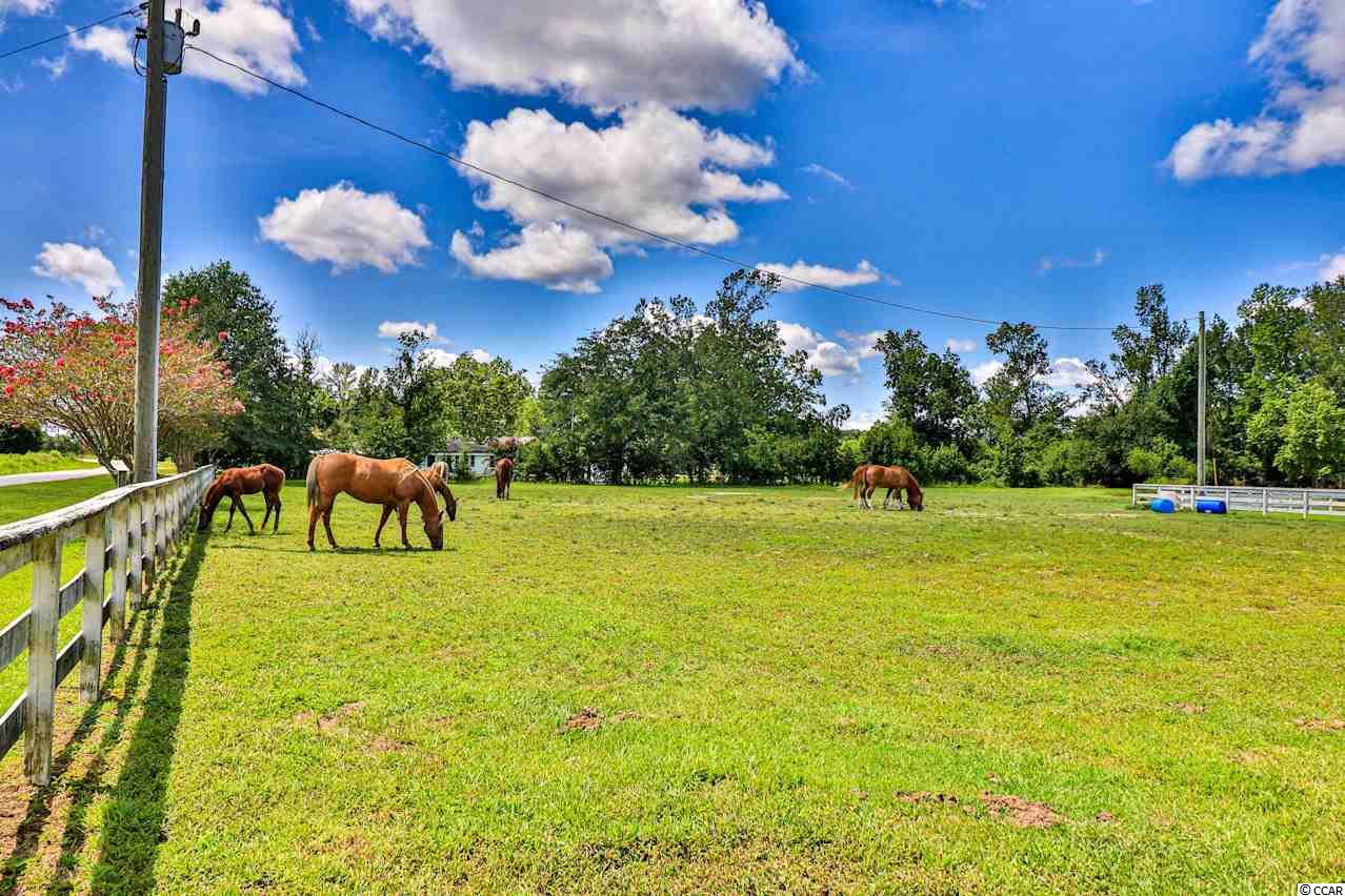 967 Rabon Road Aynor, SC 29511 - Photo 39 of 40 Gallery Image 39