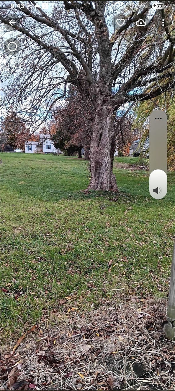 12629 Presbyterian Road Ridgeway, NY 14479 - Photo 3 of 29 Yard