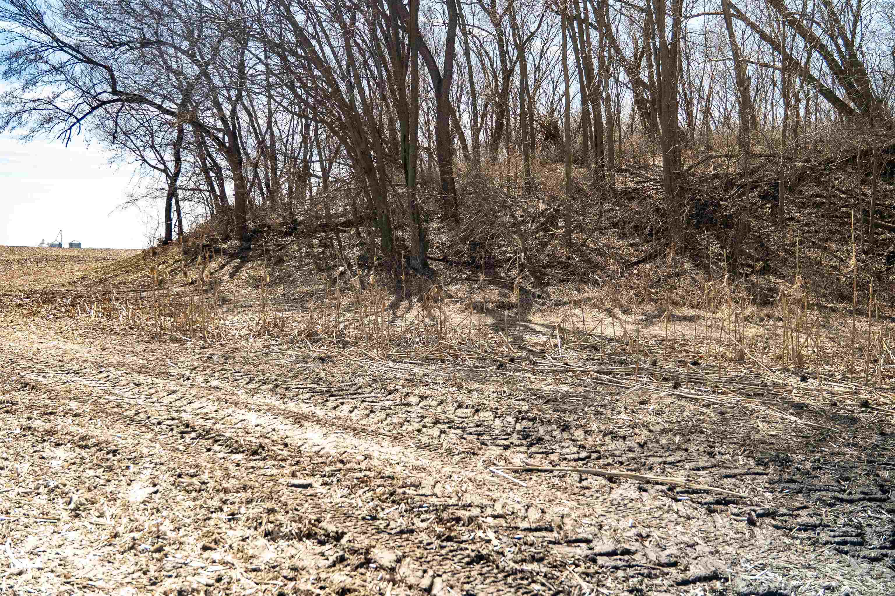 0 Holly Road Fulton, IL 61252 - Photo 13 of 77