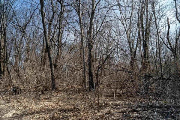 $393,760 | 0 Holly Road, Fulton, IL 61252