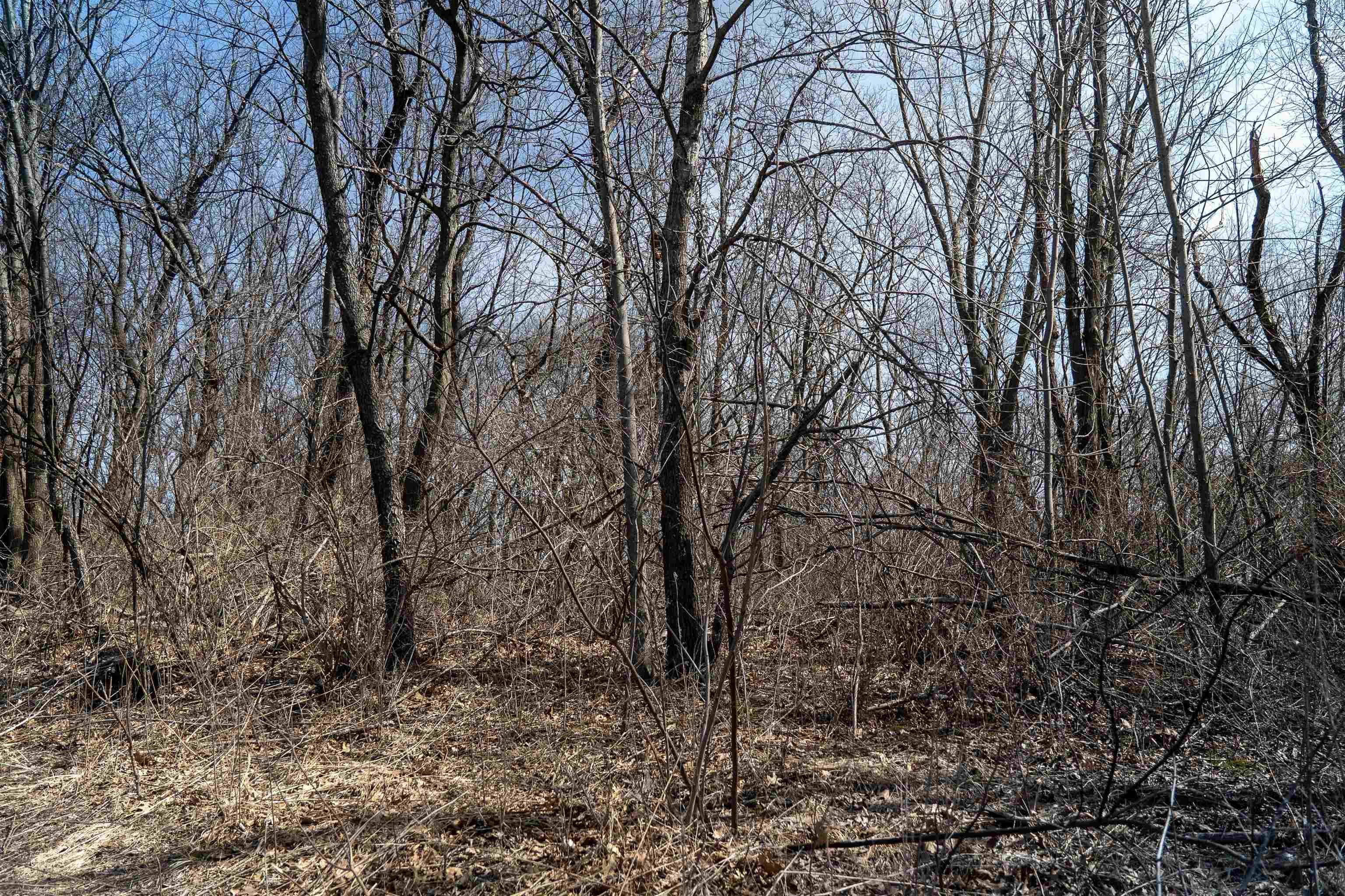 0 Holly Road Fulton, IL 61252 - Photo 25 of 77