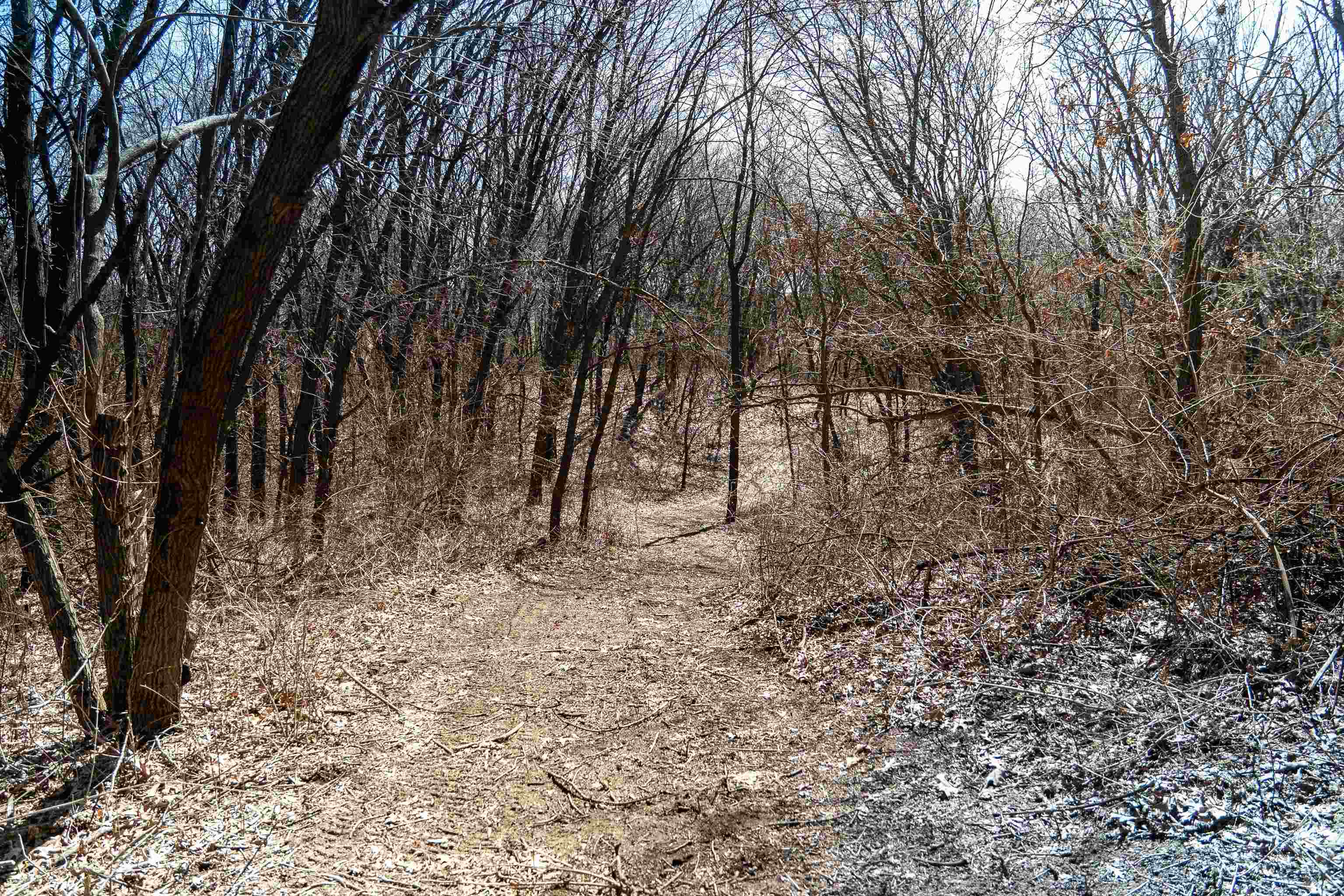 0 Holly Road Fulton, IL 61252 - Photo 33 of 77