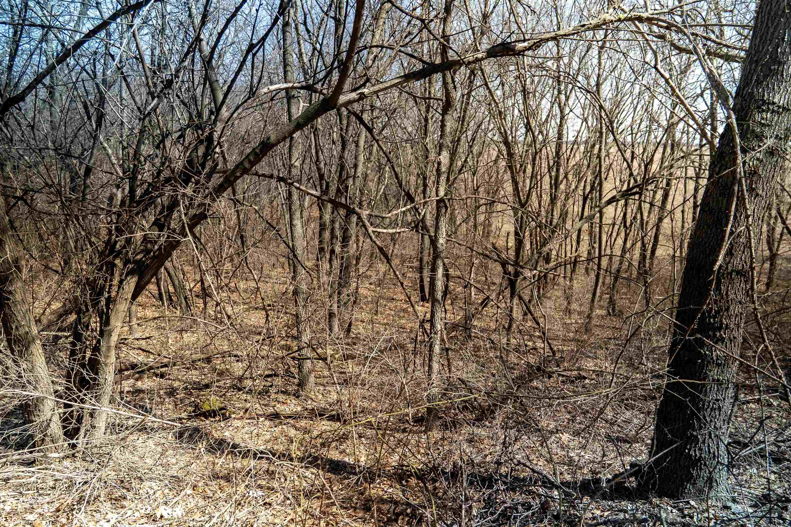 0 Holly Road Fulton, IL 61252 - Photo 34 of 77