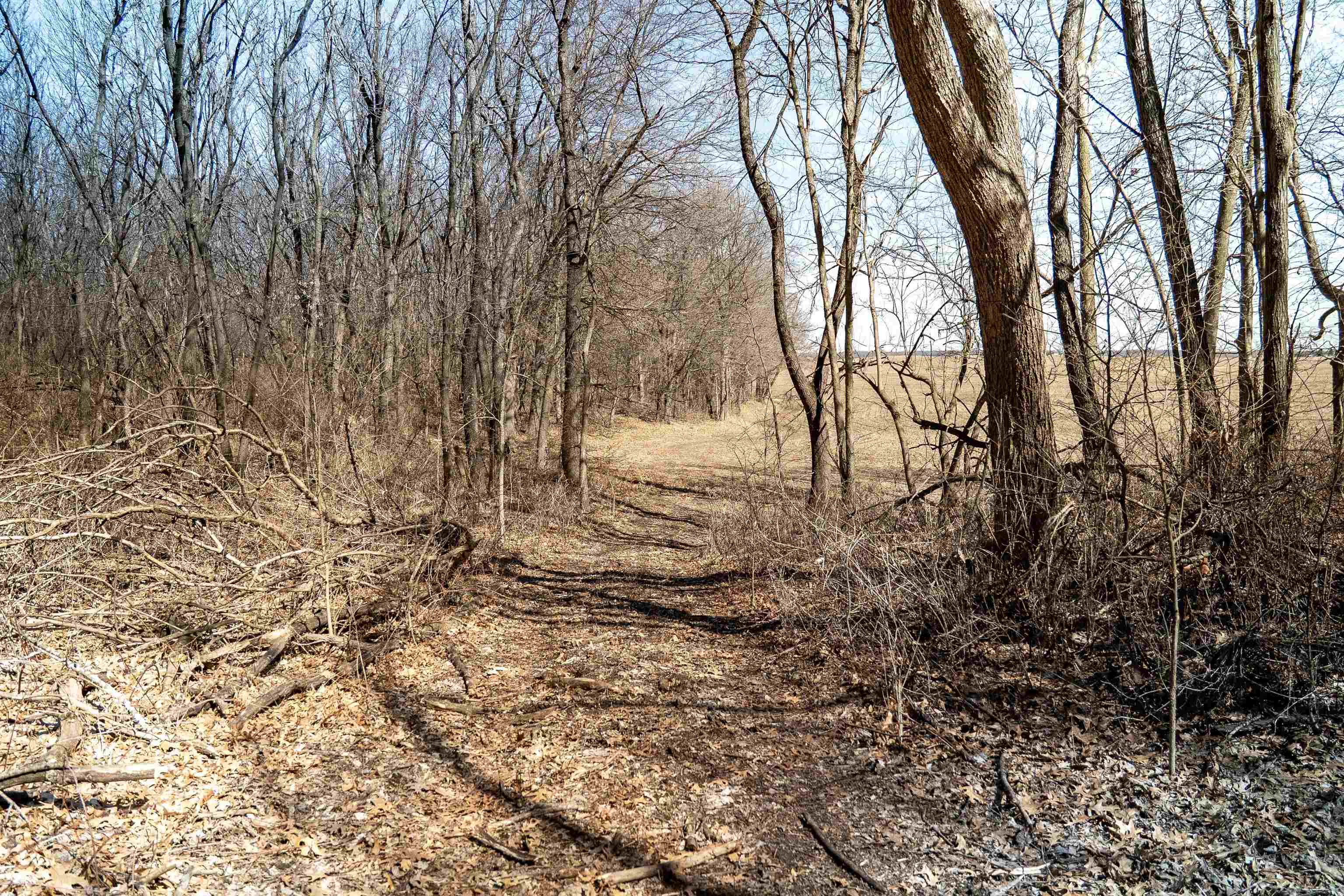 0 Holly Road Fulton, IL 61252 - Photo 35 of 77