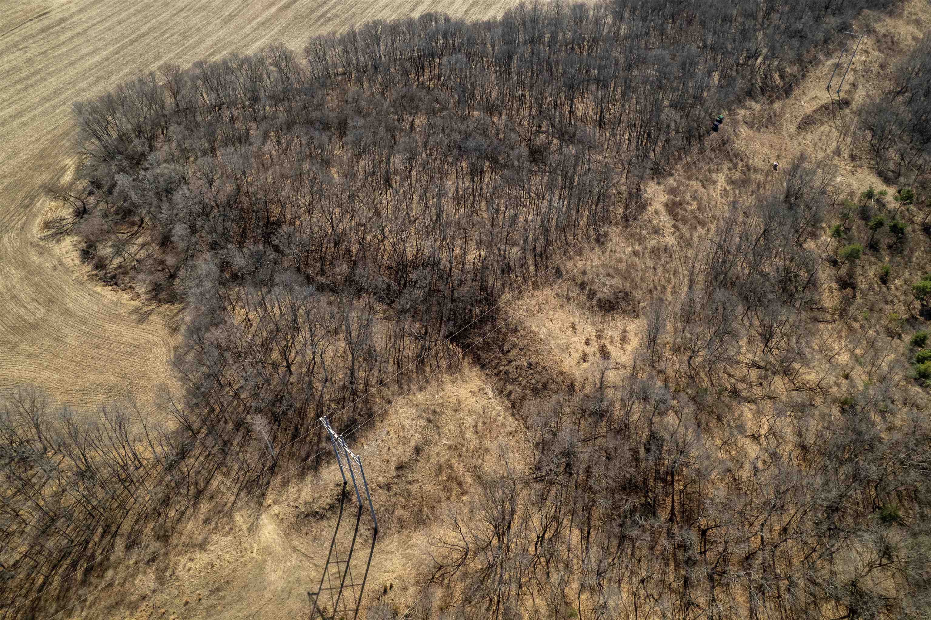 0 Holly Road Fulton, IL 61252 - Photo 45 of 77