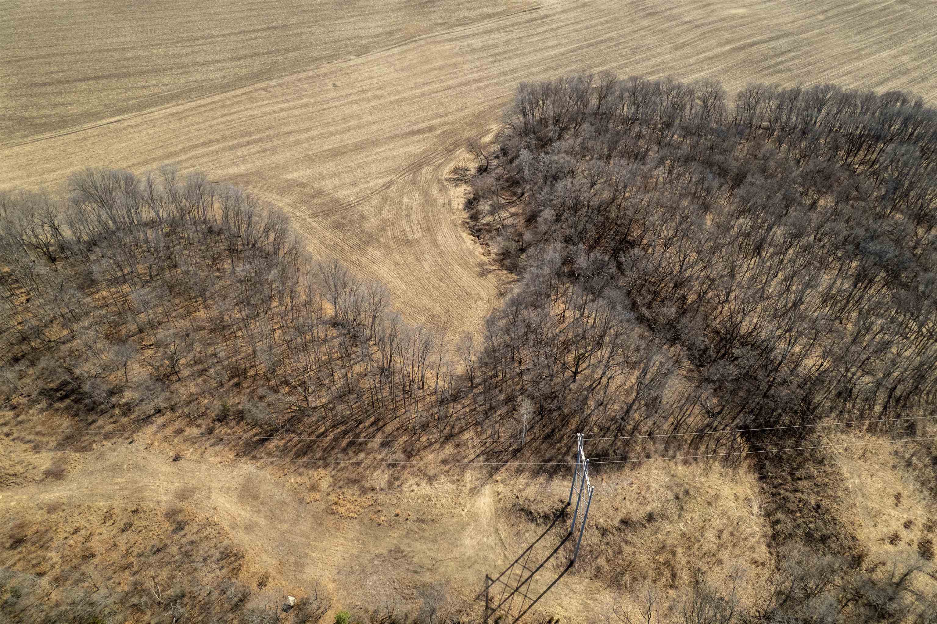 0 Holly Road Fulton, IL 61252 - Photo 9 of 77