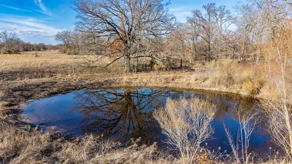 a house with trees in the background
