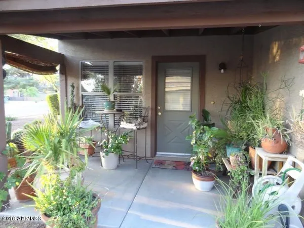a potted plant sitting in front of a house
