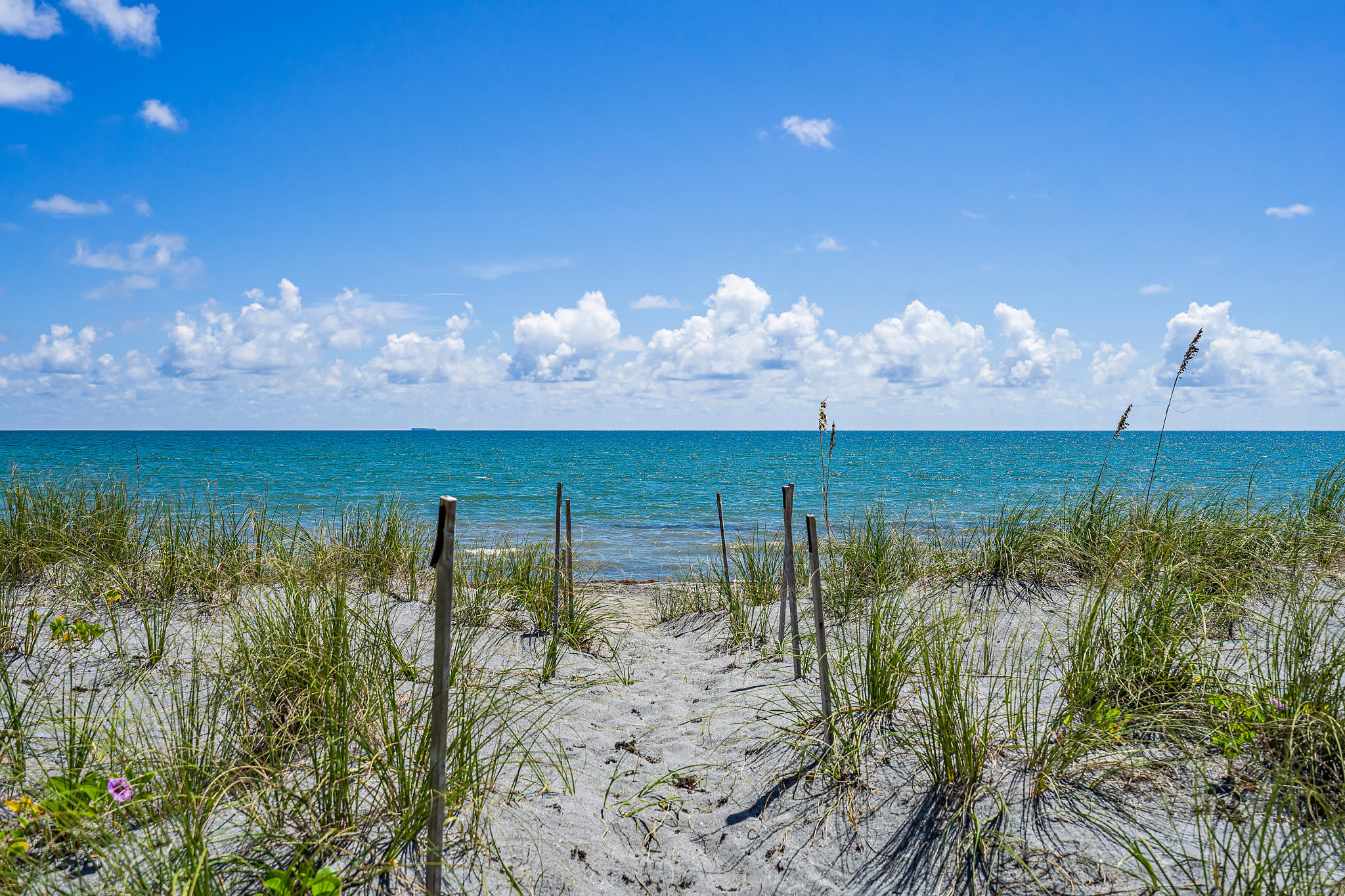 55 North Beach Road Hobe Sound, FL 33455 - Photo 34 of 64 dune