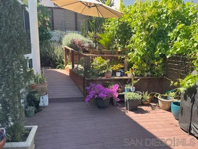 a view of a tree with a flower garden