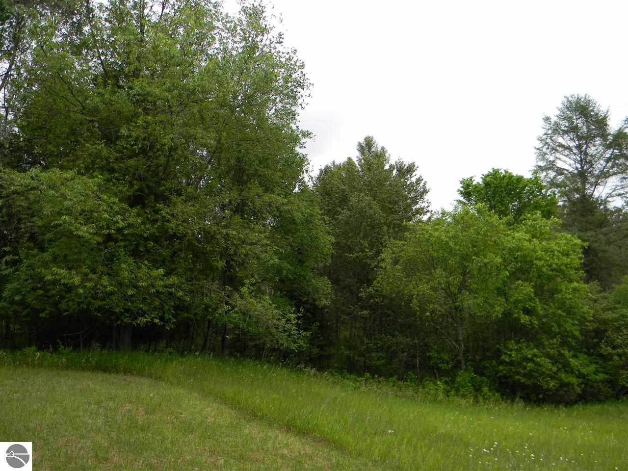 3510 Lupton Road Lupton, MI 48635 - Photo 6 of 15 1795149-5.JPG