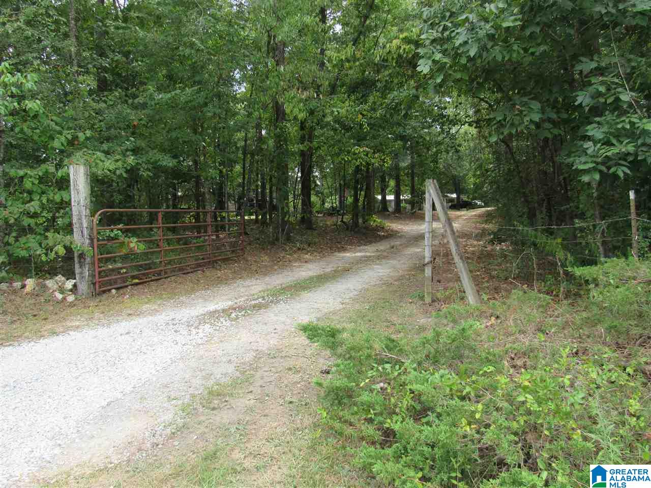 175 County Road 772 Montevallo, AL 35115 - Photo 3 of 50
