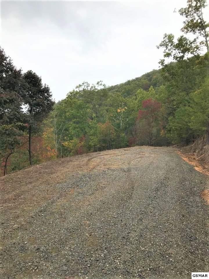 4855 Long Rifle Road Walland, TN 37886 - Photo 5 of 7 Gallery Image 5