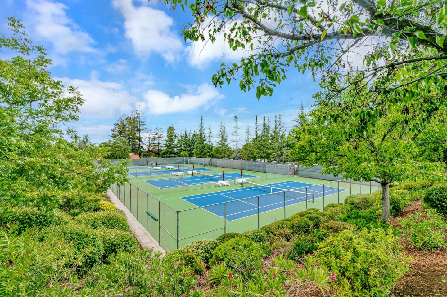 8611 Vineyard Ridge Place San Jose, CA 95135 - Photo 38 of 49 a view of a backyard with plants and a patio