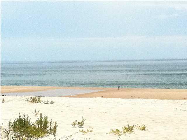 1640 Ivy Way St. George Island, FL 32328 - Photo 79 of 84
