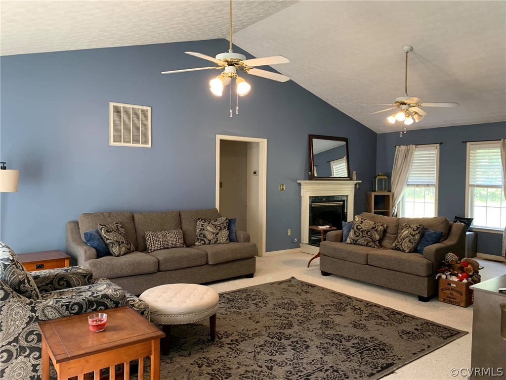 713 Reams Road Petersburg, VA 23805 - Photo 12 of 38 Gallery Image 12