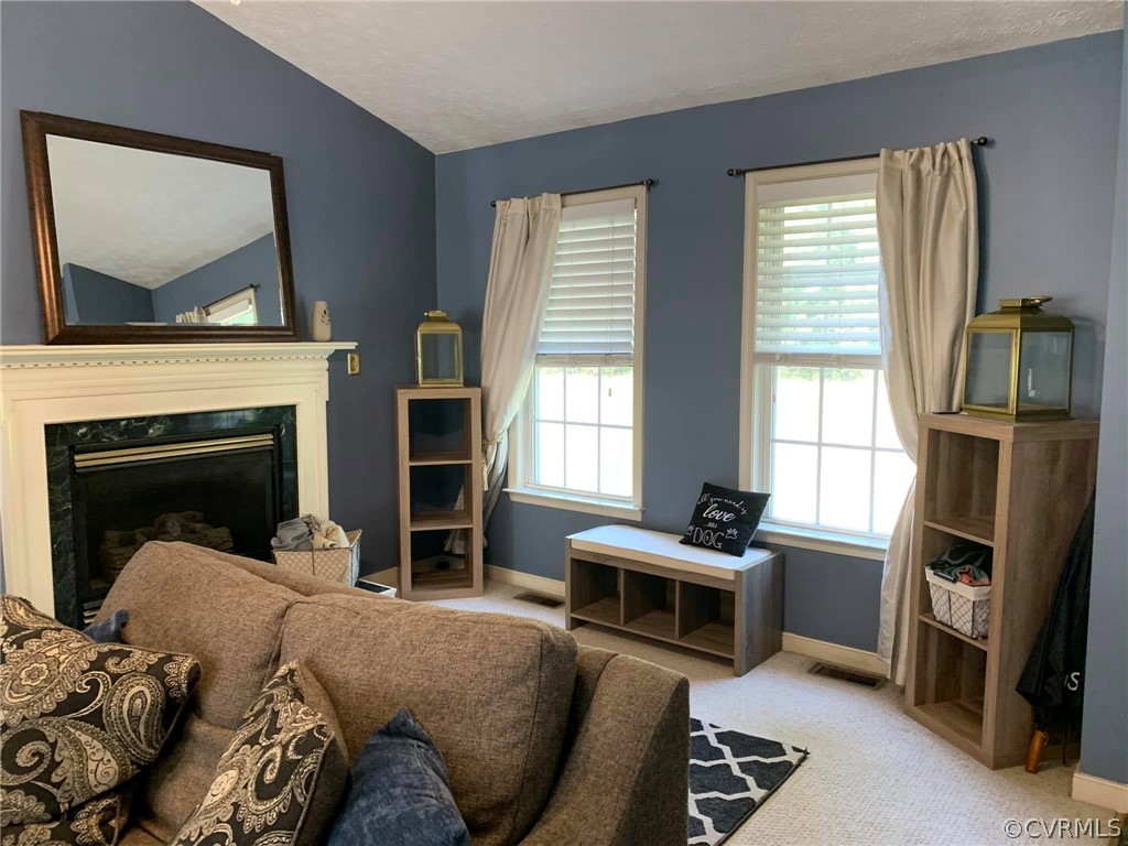 713 Reams Road Petersburg, VA 23805 - Photo 8 of 38 Gallery Image 8