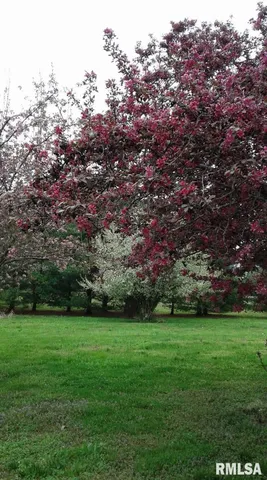 $99,900 | 1100 Moore Street, Eldorado, IL 62930