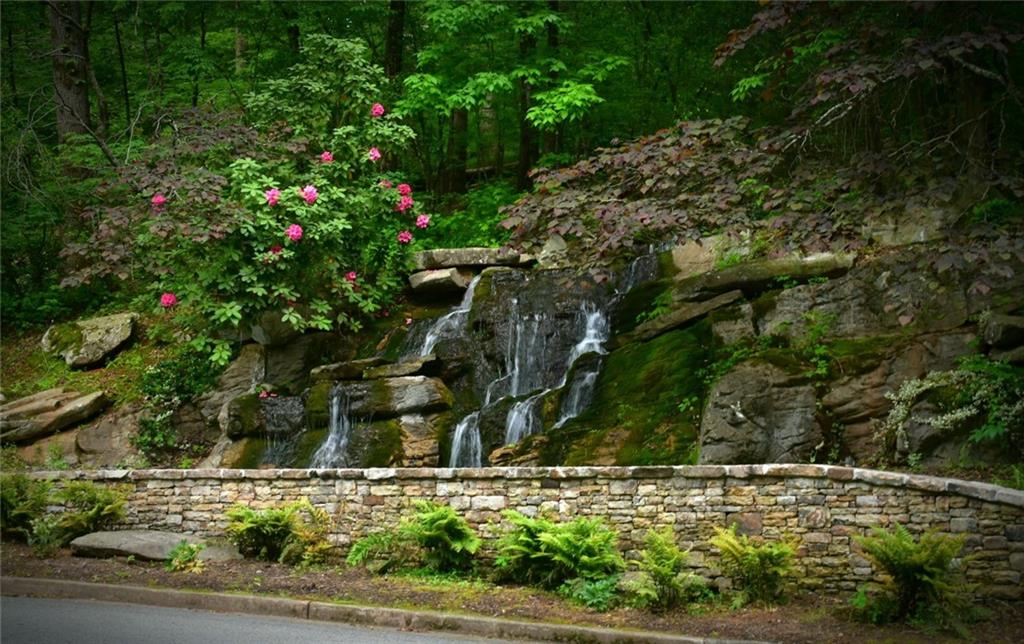 1024 Bear Paw Ridge Dahlonega, GA 30533 - Photo 40 of 55 a view of a yard with plants and large trees