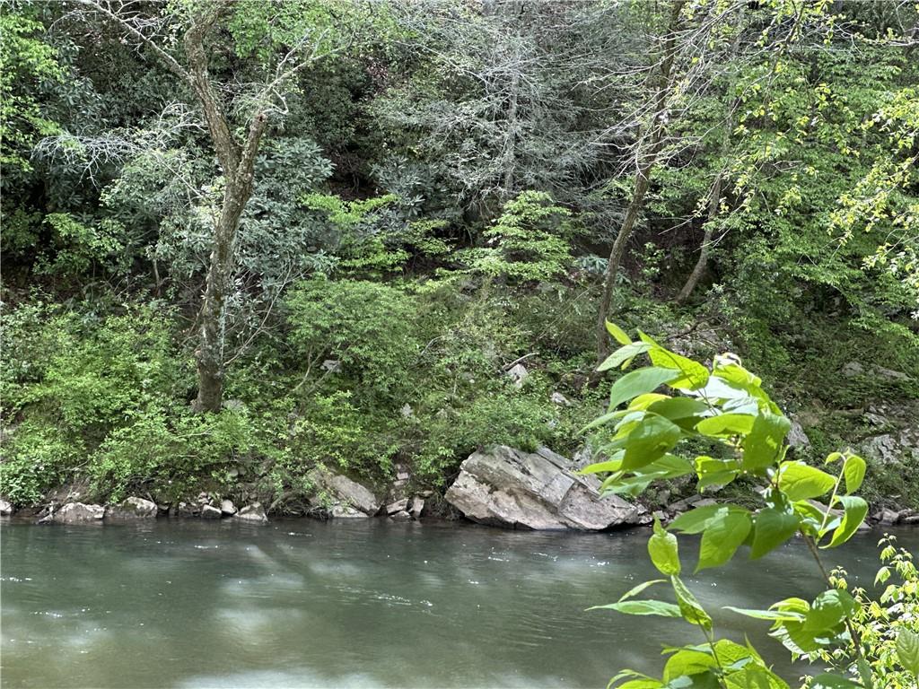 1024 Bear Paw Ridge Dahlonega, GA 30533 - Photo 44 of 55 a view of a lake with houses