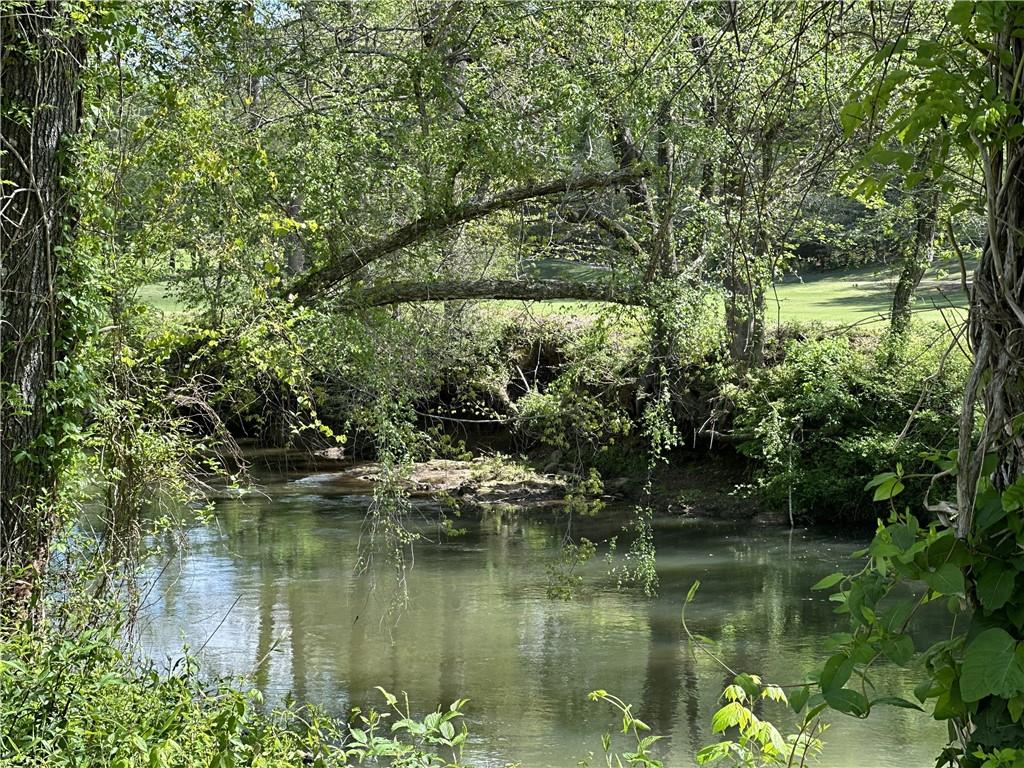 1024 Bear Paw Ridge Dahlonega, GA 30533 - Photo 45 of 55 a view of lake