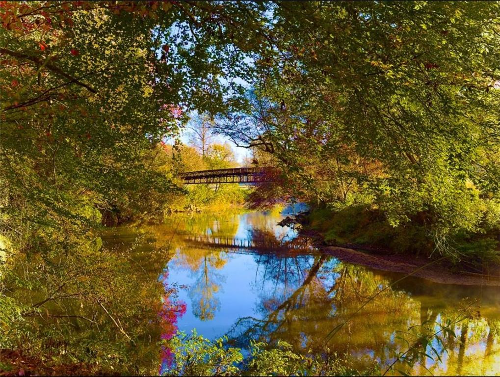 1024 Bear Paw Ridge Dahlonega, GA 30533 - Photo 50 of 55 a view of swimming pool