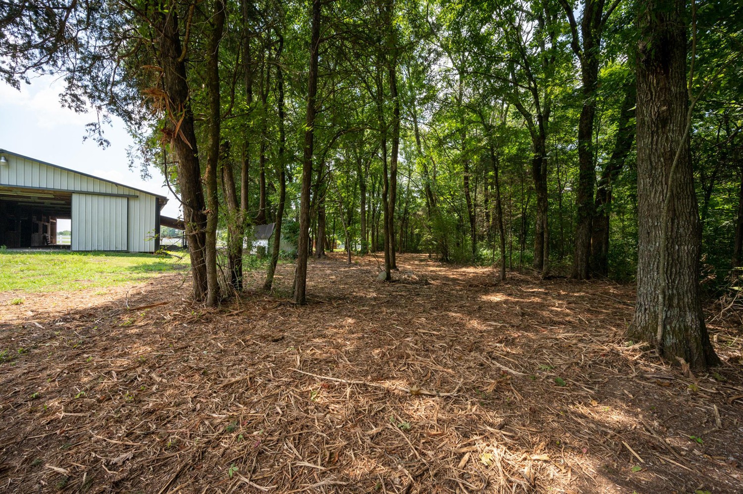 4180 Rucker Road Christiana, TN 37037 - Photo 26 of 46 Gallery Image 26